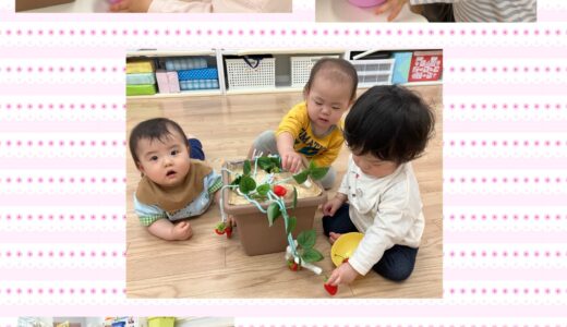 ひよこ・りす・うさぎ組　いちご狩り