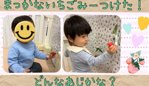 食育活動☆いちご