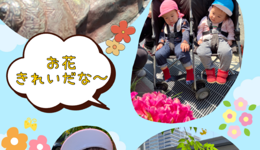 ☆外周散歩