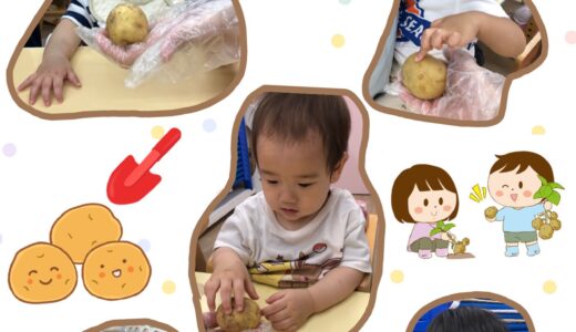 ひよこ・りす組☆食育活動【じゃがいも】