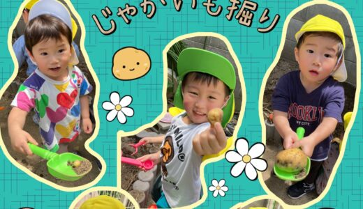 うさぎ組☆食育活動【じゃがいも】
