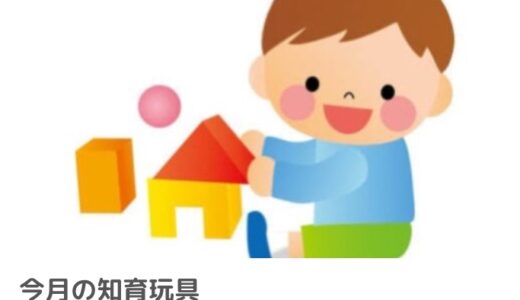 今月の知育玩具