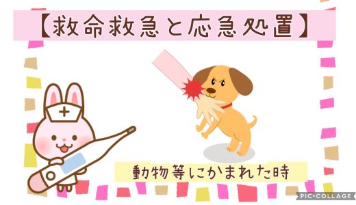 ◆動物等に噛まれたとき