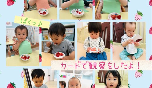 食育☆いちご🍓