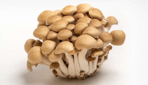 【食育】しめじ