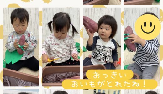 【全クラス】さつまいも掘り